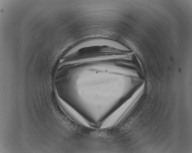 X0000066100354200603312031