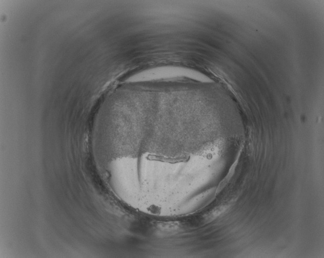 X0000066100355200603312031