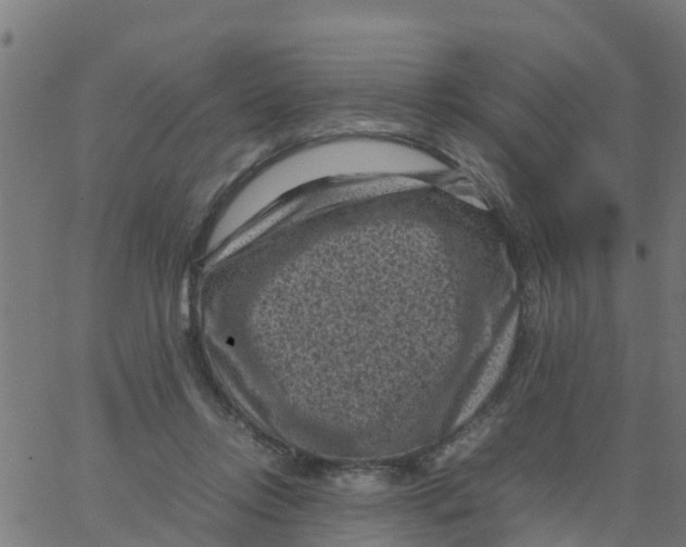 X0000066100358200603312031