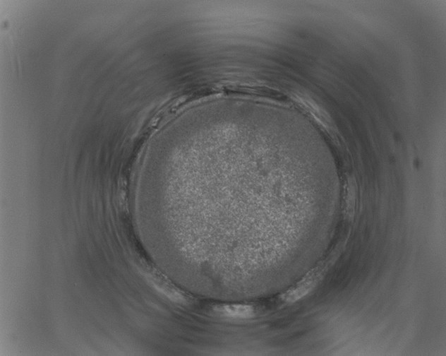 X0000066100361200603312031