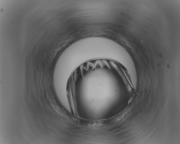 X0000066100362200603312031