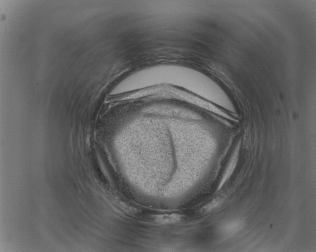 X0000066100363200603312031