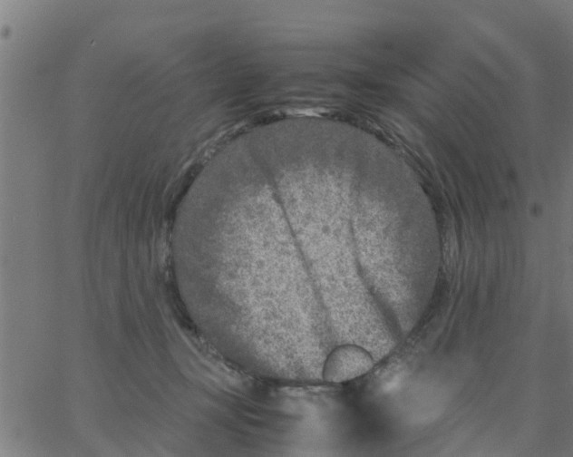 X0000066100367200603312031