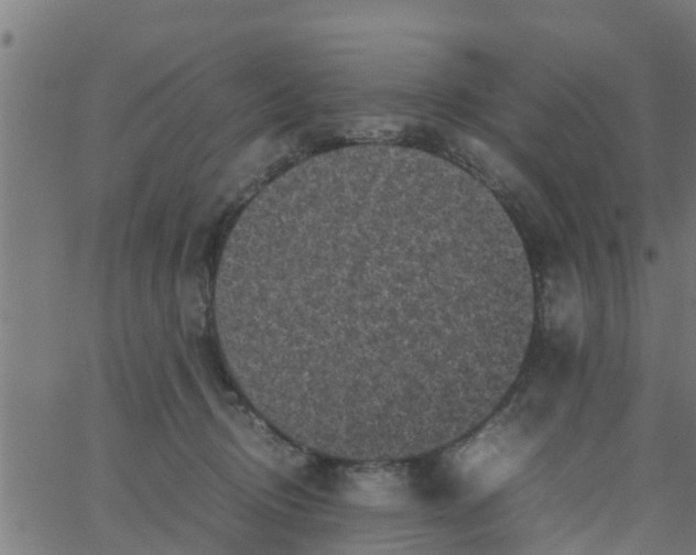 X0000066100370200603312031