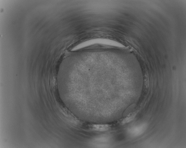 X0000066100371200603312031