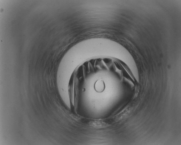 X0000066100372200603312031