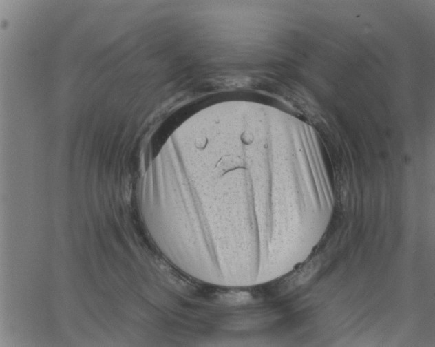 X0000066100374200603312031