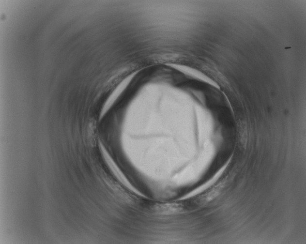 X0000066100378200603312031