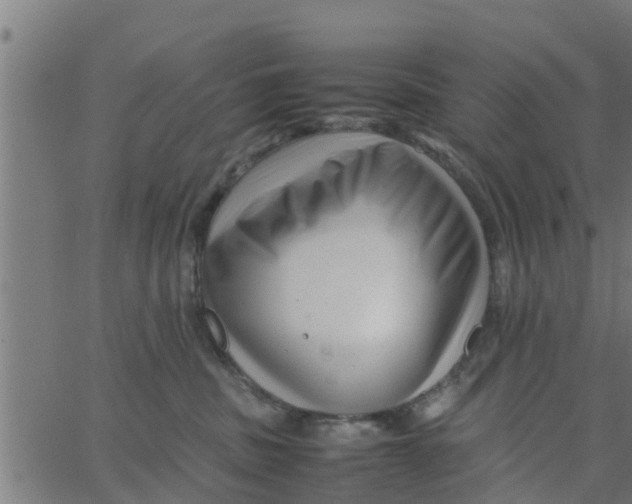 X0000066100379200603312031