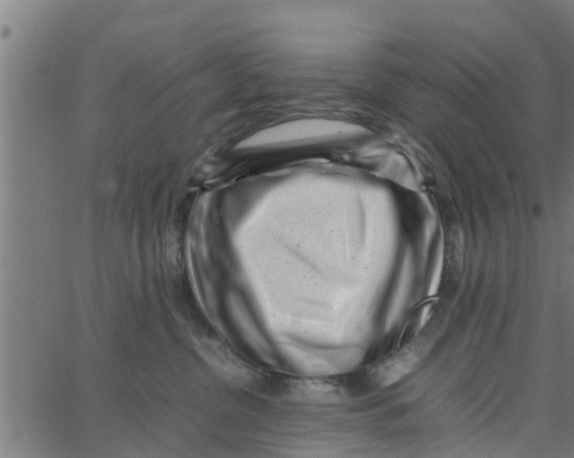 X0000066100380200603312031