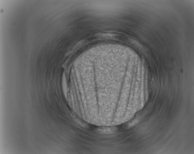 X0000066100381200603312031