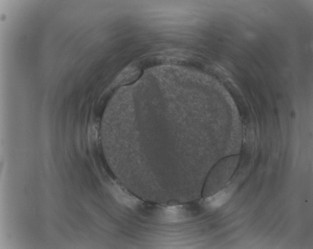 X0000066100382200603312031