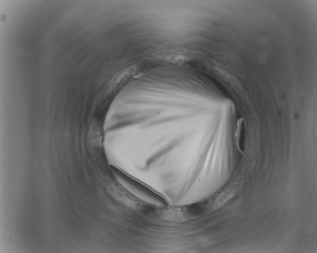 X0000066100384200603312031