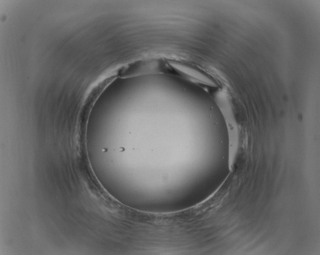 X0000066100388200603312030