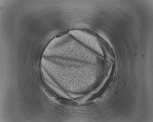 X0000066100389200603312030