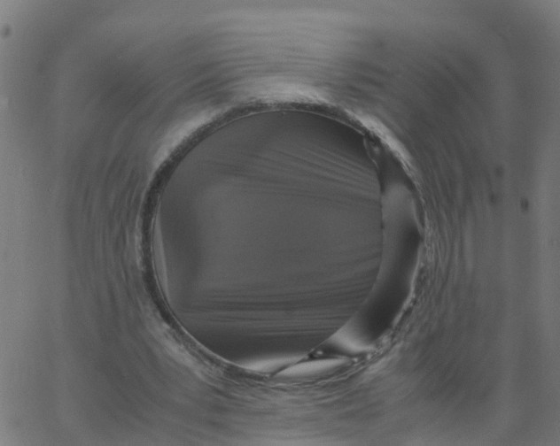 X0000066100391200603312030