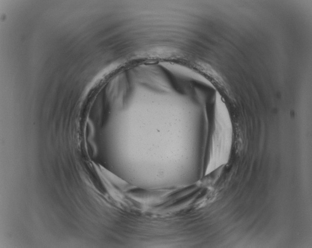 X0000066100392200603312030