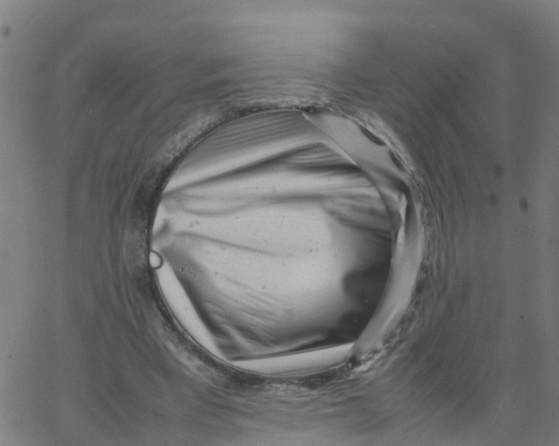 X0000066100393200603312030