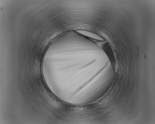 X0000066100394200603312030