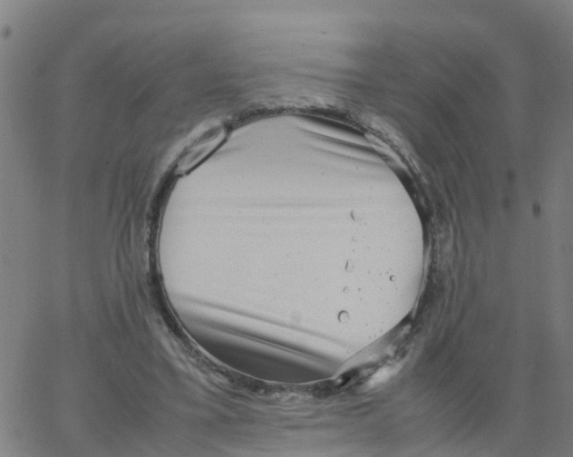 X0000066100395200603312030