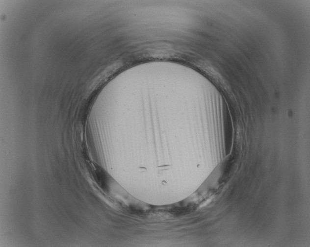 X0000066100397200603312030