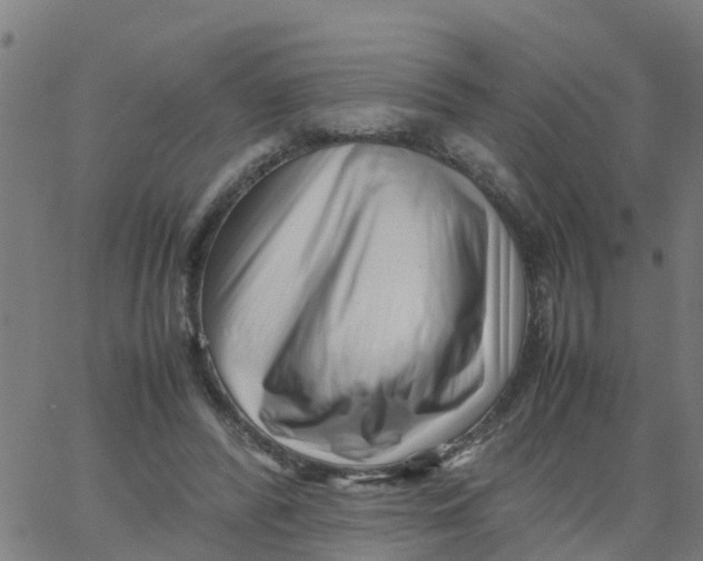 X0000066100400200603312030