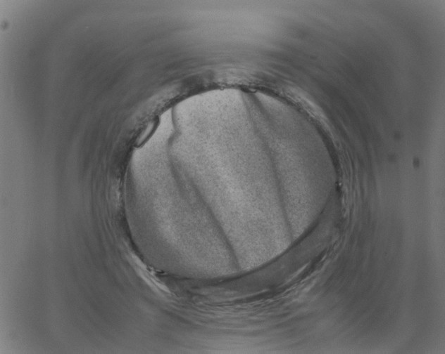 X0000066100401200603312030