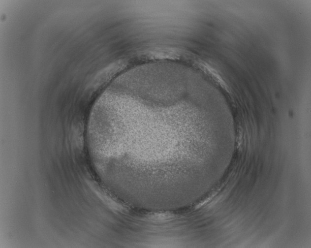 X0000066100402200603312030