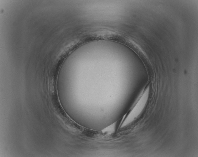 X0000066100403200603312030