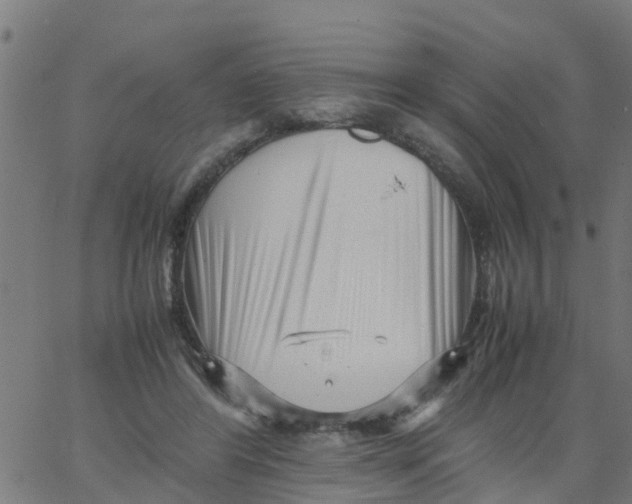 X0000066100404200603312030