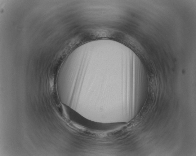 X0000066100406200603312030