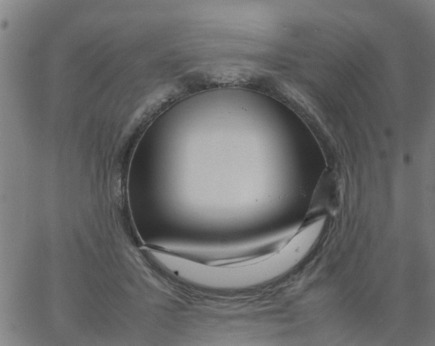 X0000066100407200603312030