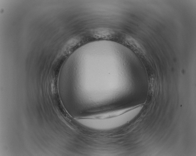 X0000066100408200603312030