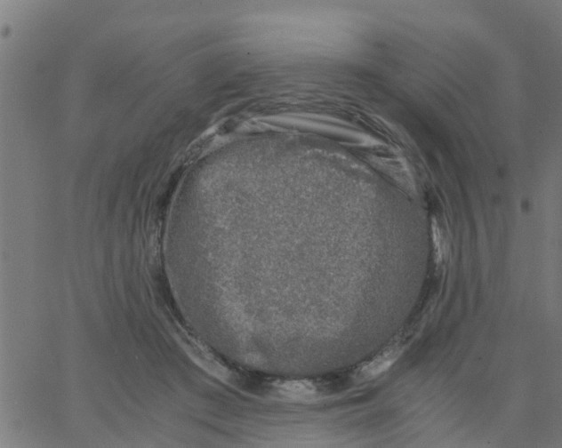 X0000066100409200603312030