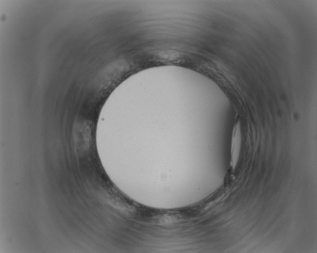 X0000066100412200603312030