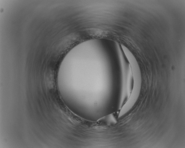 X0000066100416200603312030