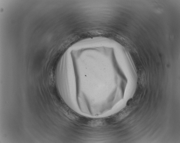 X0000066100418200603312030