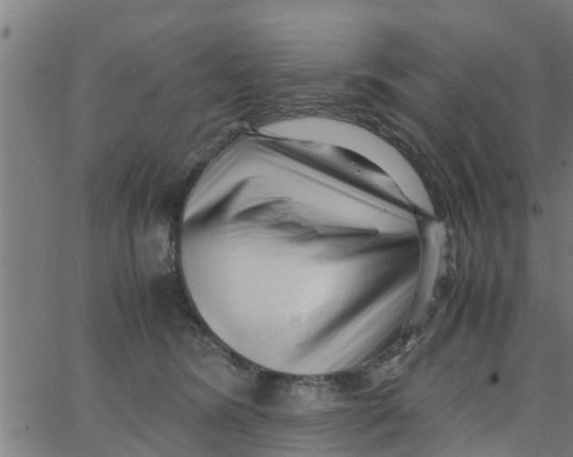 X0000066100420200603312030