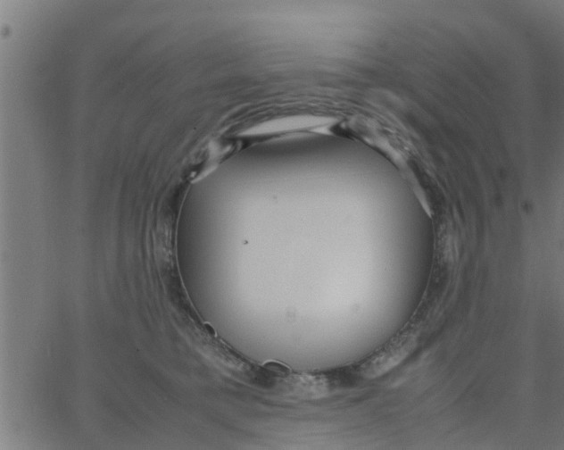 X0000066100421200603312030