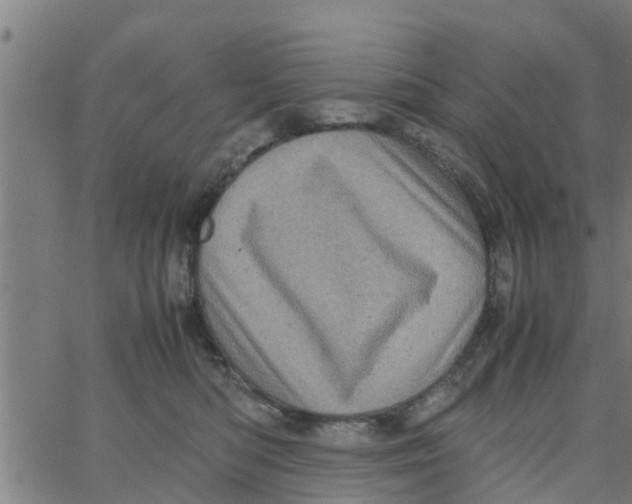 X0000066100422200603312030