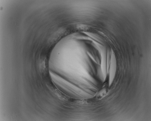 X0000066100424200603312030