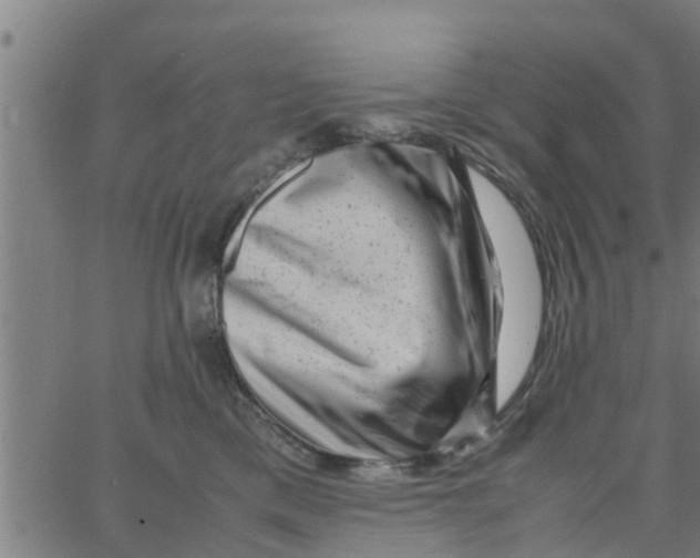 X0000066100425200603312030