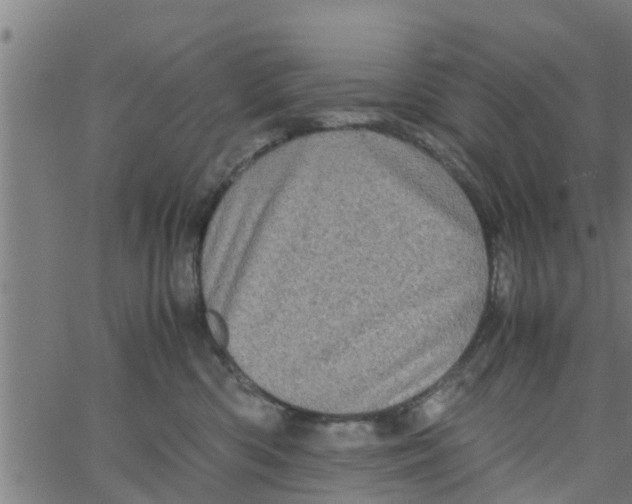 X0000066100426200603312030