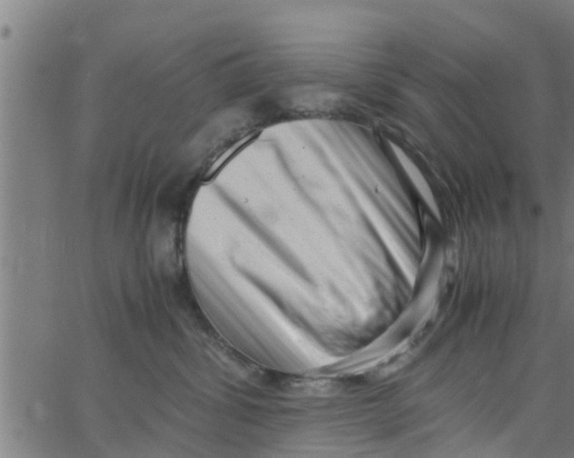 X0000066100428200603312030