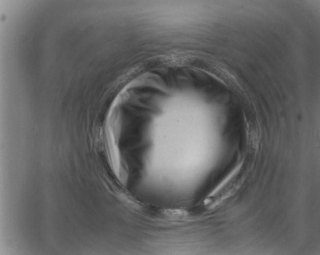 X0000066100429200603312030