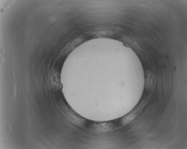 X0000066100430200603312030