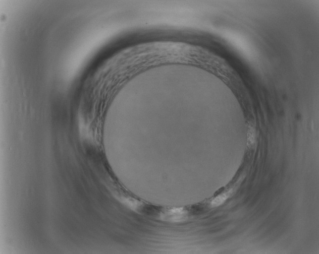 X0000066100431200603312030