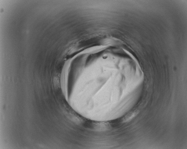 X0000066100432200603312030