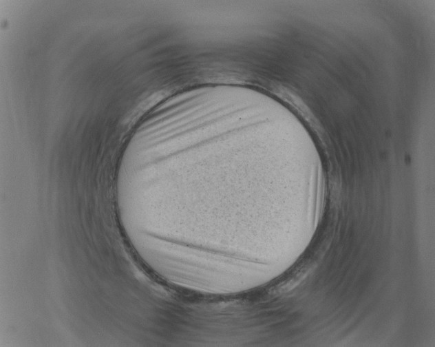 X0000066100433200603312029