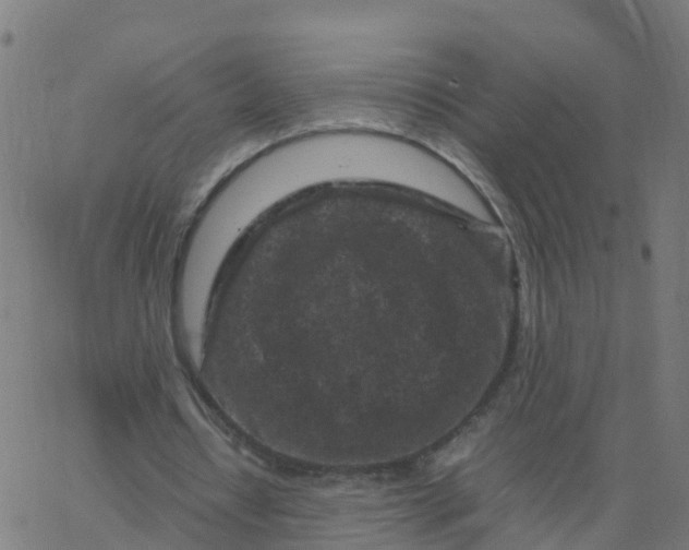 X0000066100434200603312029